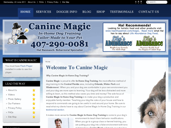 www.orlando-dog-training.com