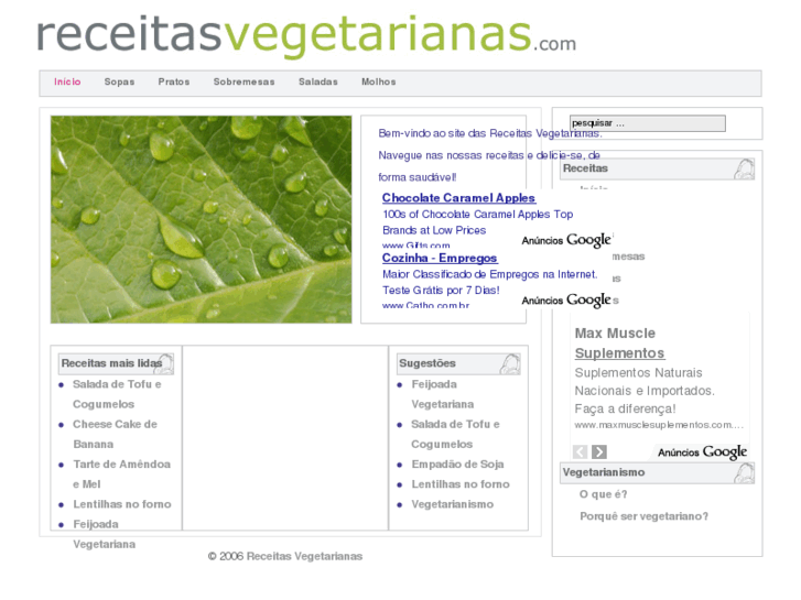 www.receitasvegetarianas.com