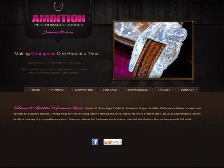 www.ambitionperformancehorses.com