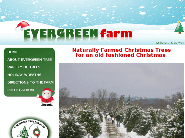 www.evergreentree.com