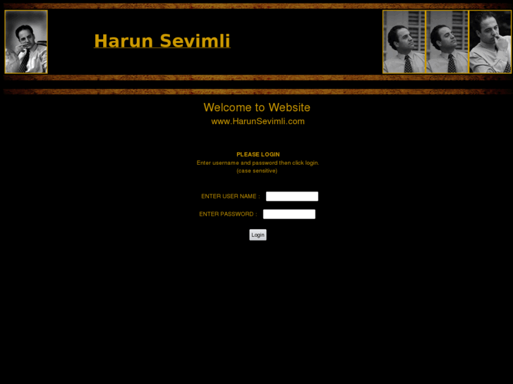 www.harunsevimli.com