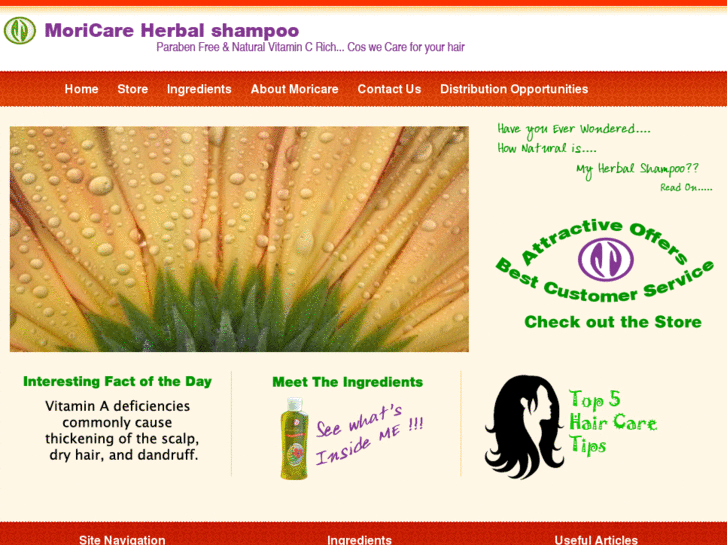 www.herbal-shampoo.com