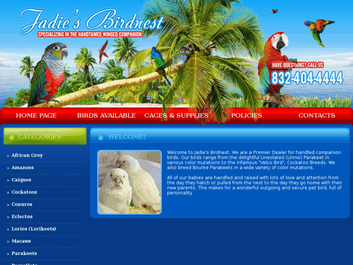 www.jadiesbirdnest.com