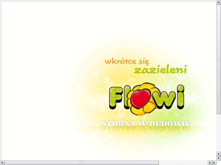 www.flowi.com