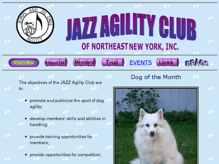 www.jazzagilityclub.com