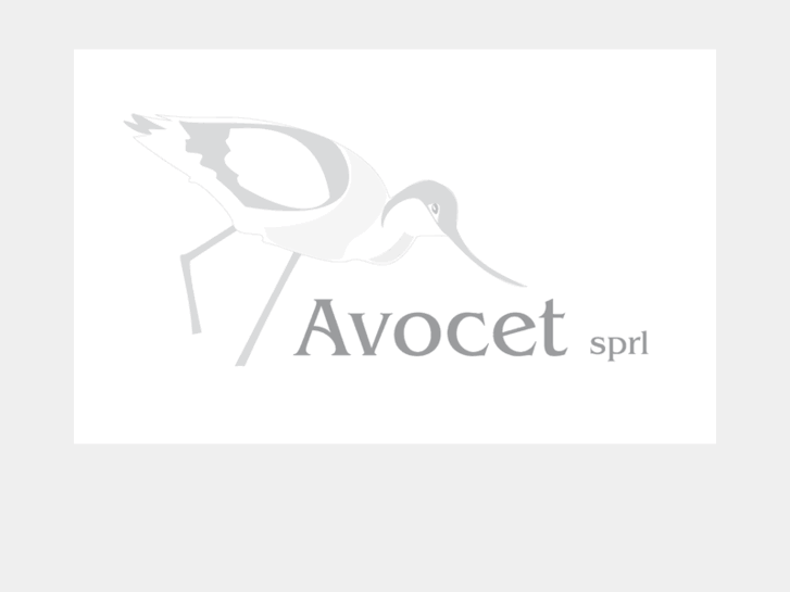 www.avocet.be