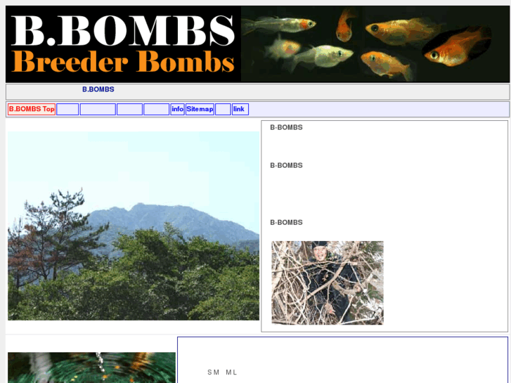 www.b-bombs.com