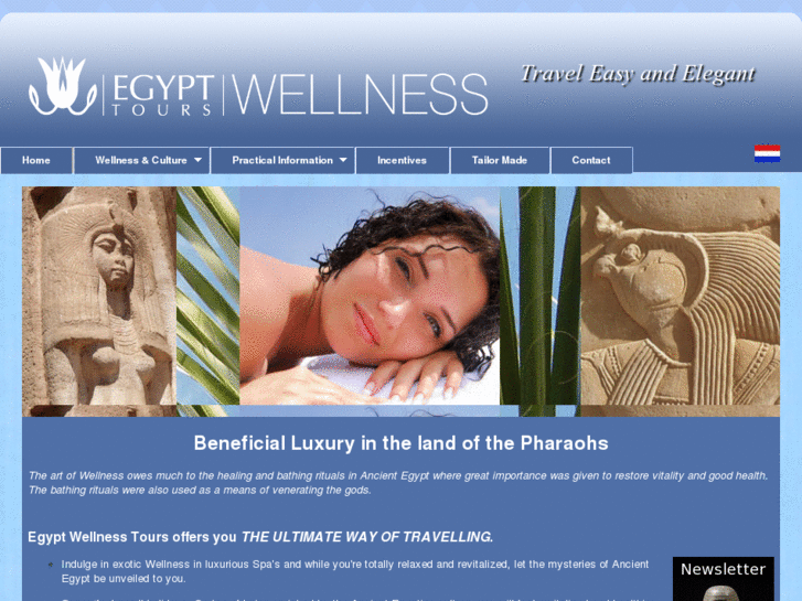 www.egyptwellness.com
