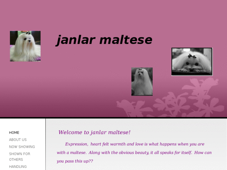 www.janlarmaltese.com