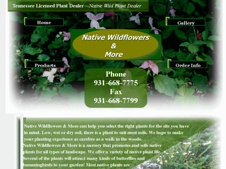 www.nativewildflowersandmore.com