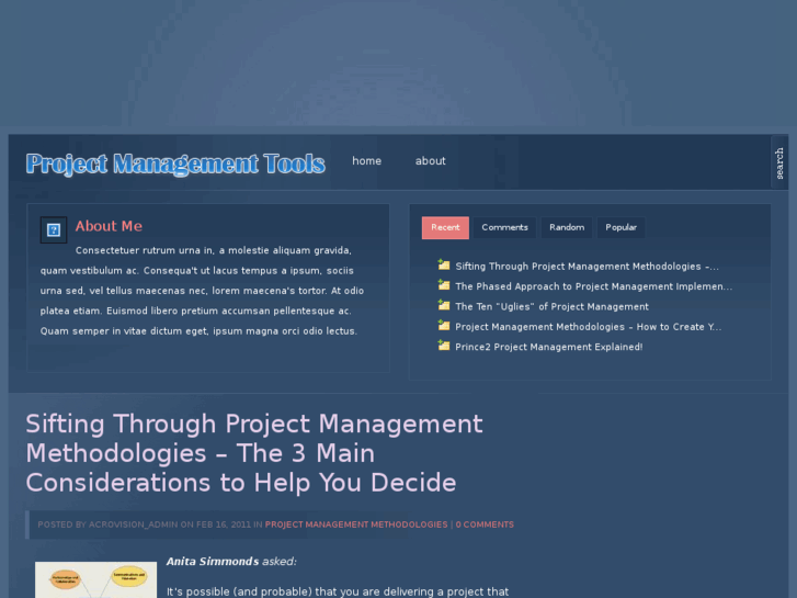 www.project-management-toolsonline.com