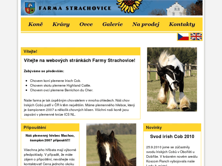 www.strachovice.com