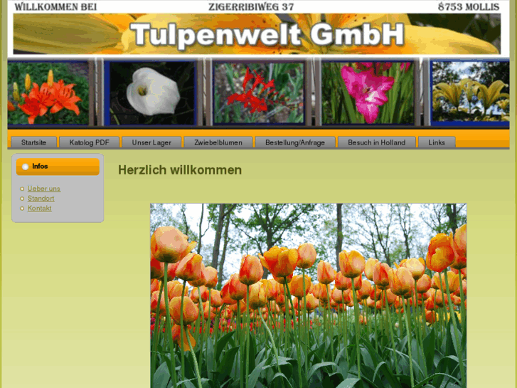 www.tulpenwelt.ch