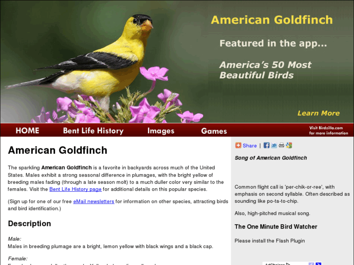 www.american-goldfinch.com
