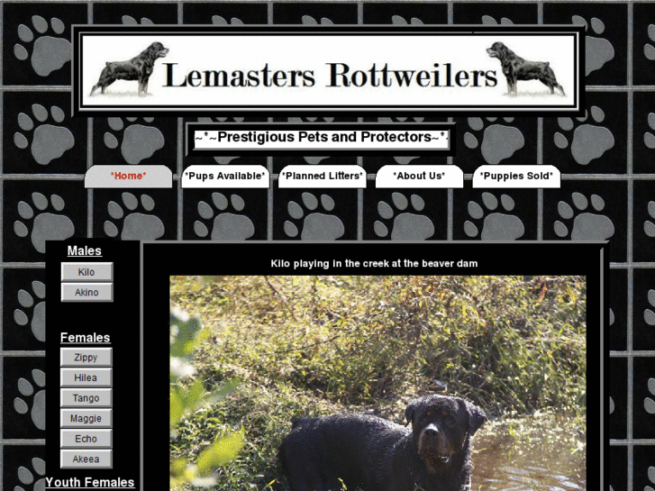 www.lemastersrottweilers.com