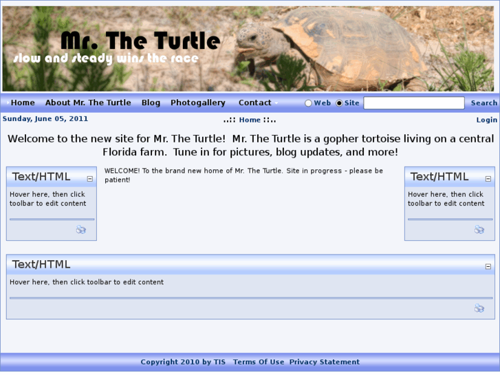 www.mrtheturtle.com