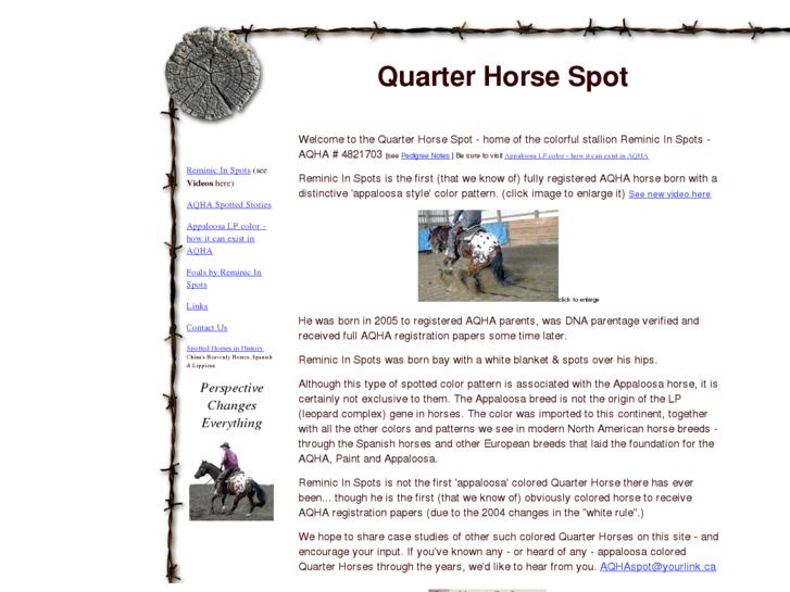 www.quarterhorsespot.com