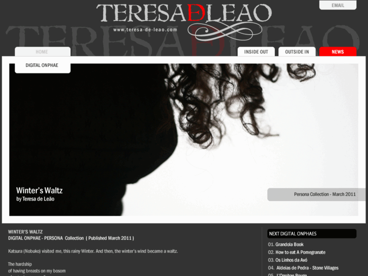 www.teresa-de-leao.com