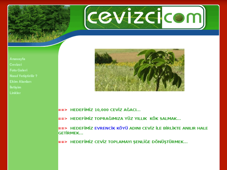 www.cevizci.com