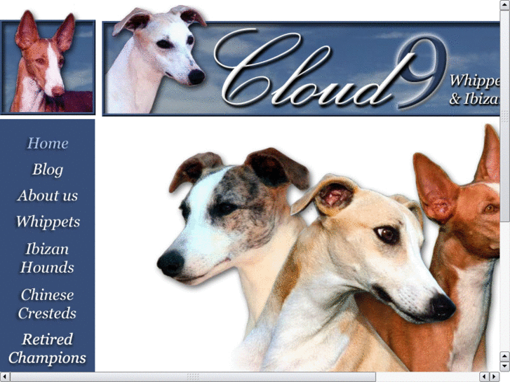 www.cloudninewhippets.com