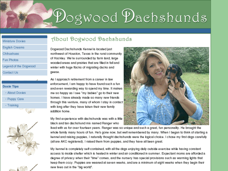 www.dogwooddachshunds.com