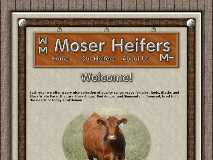 www.moserheifers.com