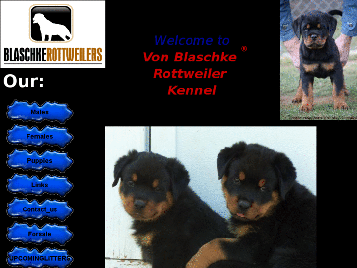 www.vonblaschkerottweilers.com