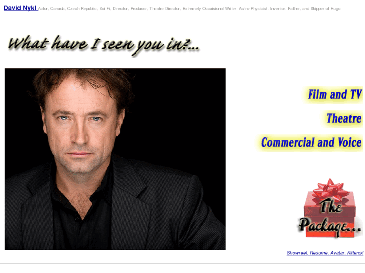www.davidnykl.com
