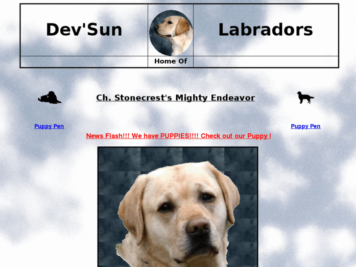 www.devsunlabs.com