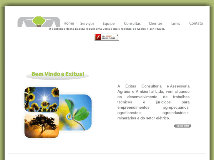 www.exitusambiental.com