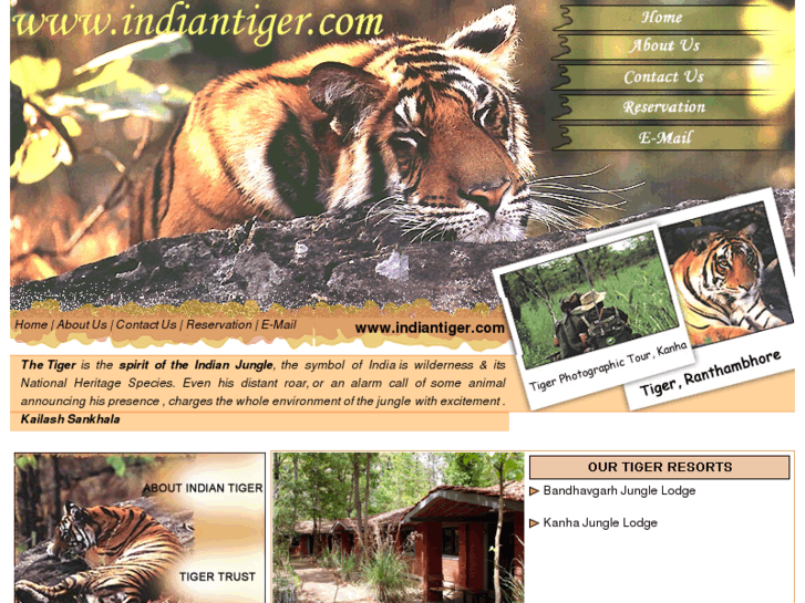 www.indiantiger.com