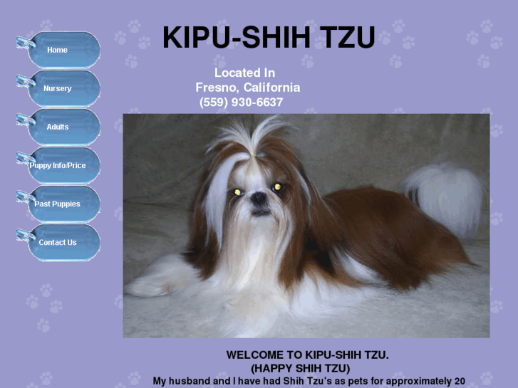 www.kipu-shihtzu.com