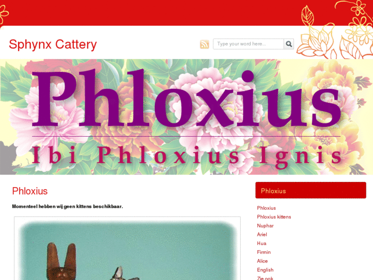 www.phloxius.com