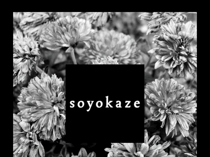 www.soyokazespa.com