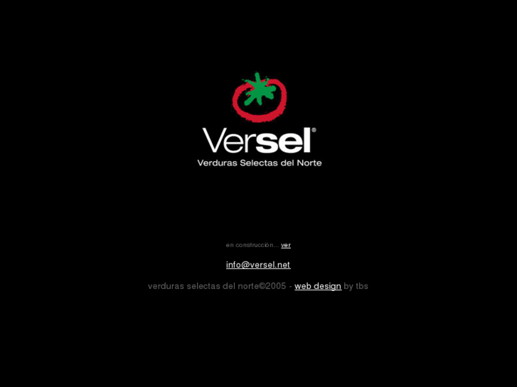 www.versel.net