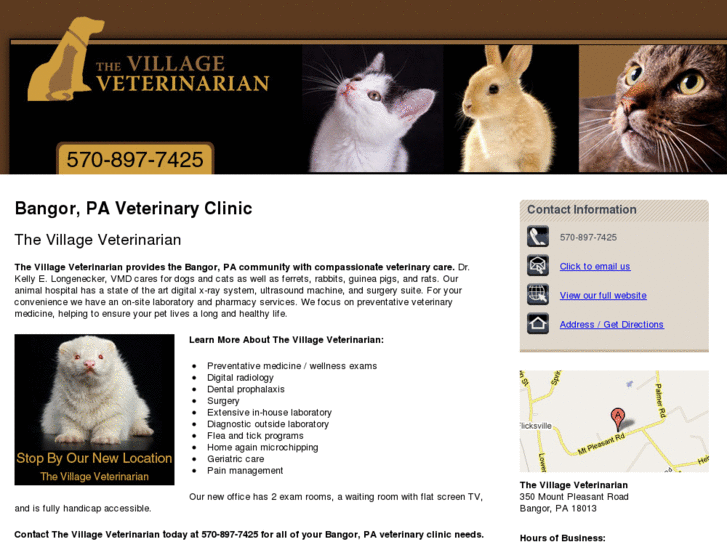 www.villagevet1.com