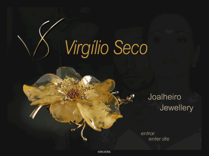 www.virgilio-seco.com