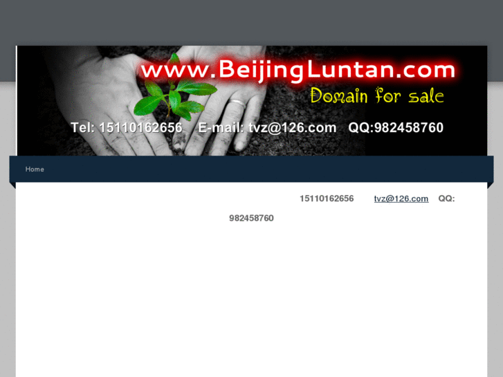 www.beijingluntan.com