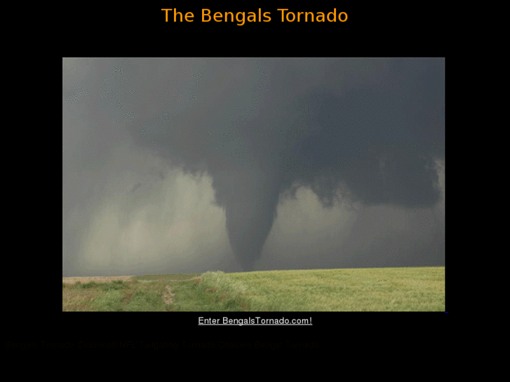 www.bengalstornado.com