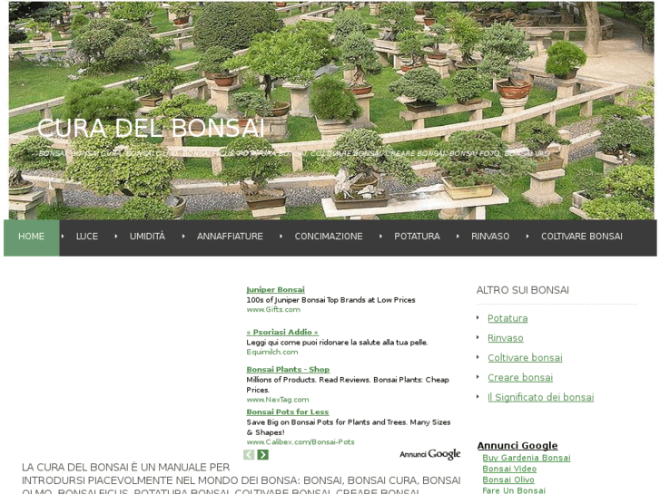 www.curadelbonsai.it