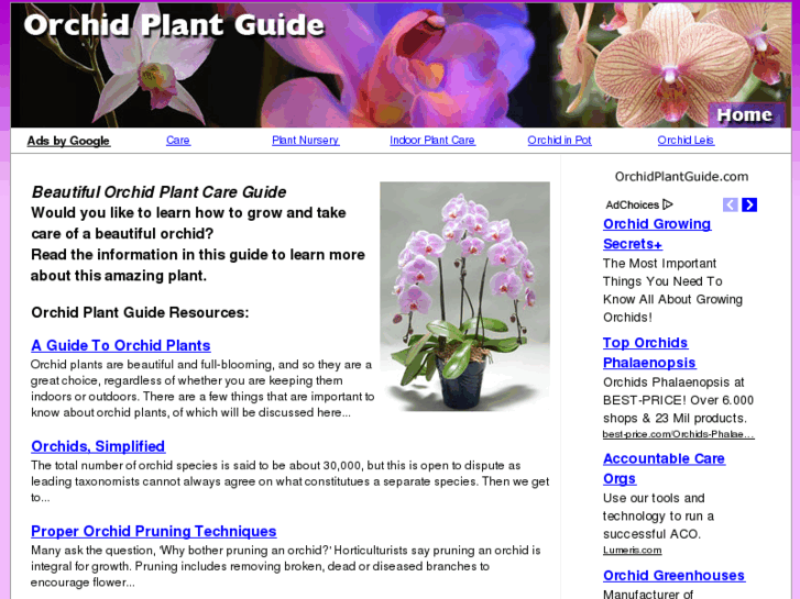 www.orchidplantguide.com