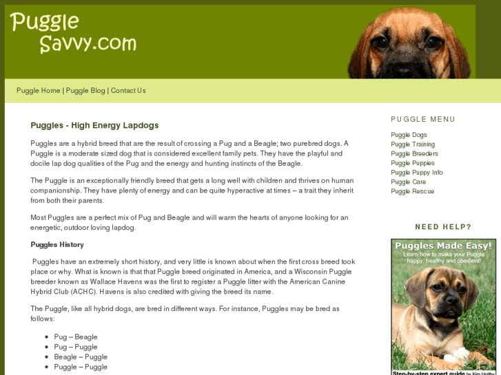 www.pugglesavvy.com