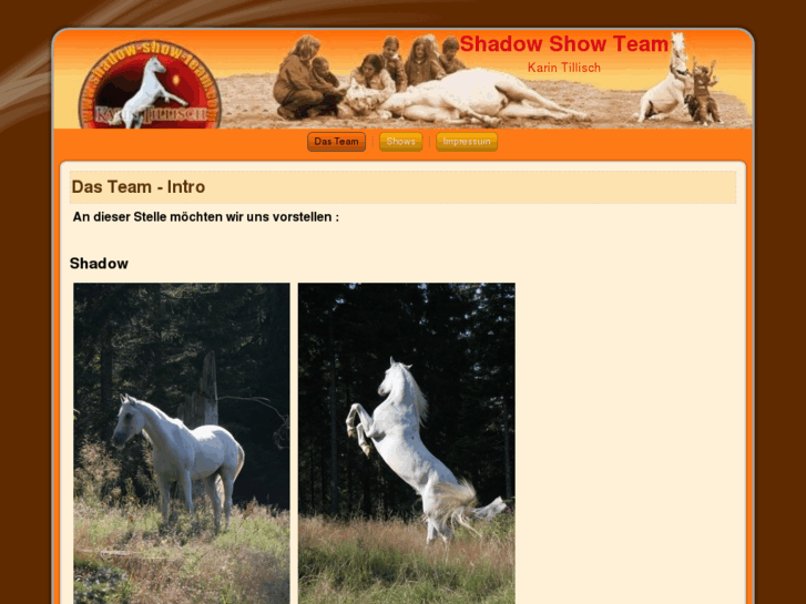 www.shadow-show-team.com