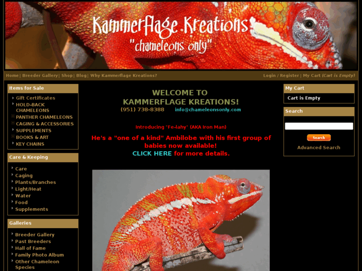 www.chameleonsonly.com