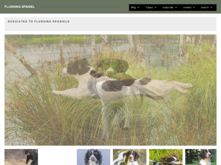 www.flushingspaniel.com