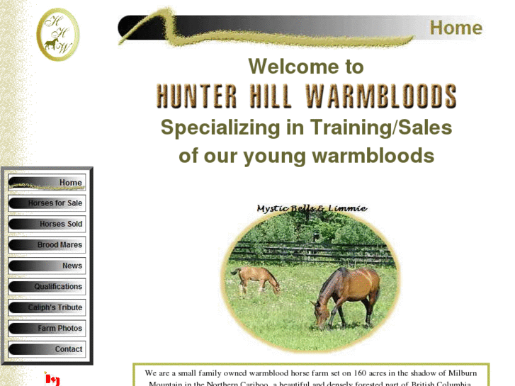 www.hunterhillwarmbloods.com