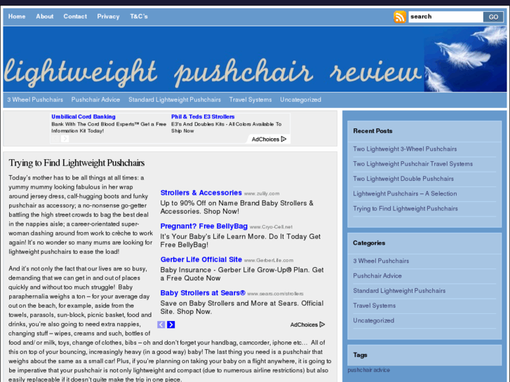 www.lightweightpushchair.org.uk