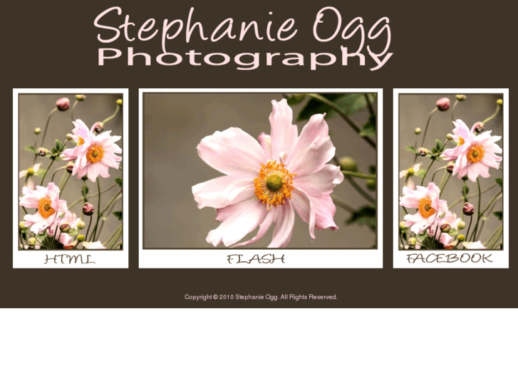 www.stephanieogg.com