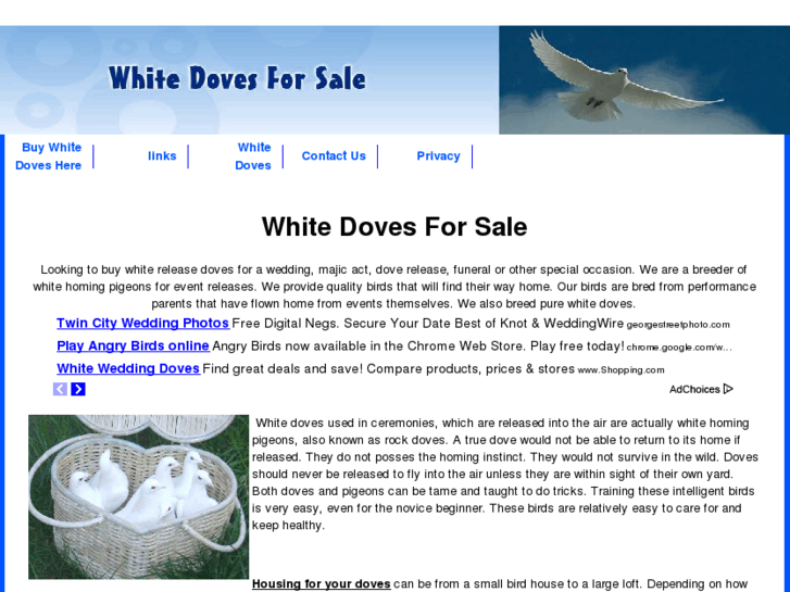 www.whitedovesforsale.com