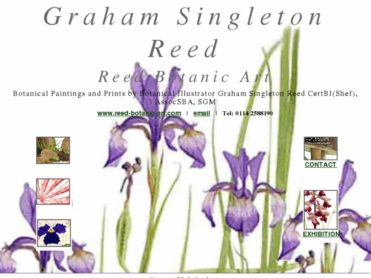 www.reed-botanic-art.com